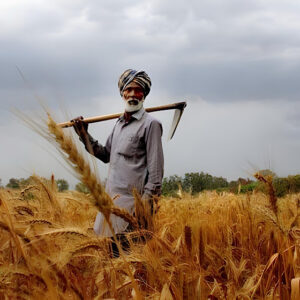 Punjab Government Launches Land Scheme for Needy Farmers