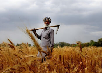 Punjab Government Launches Land Scheme for Needy Farmers