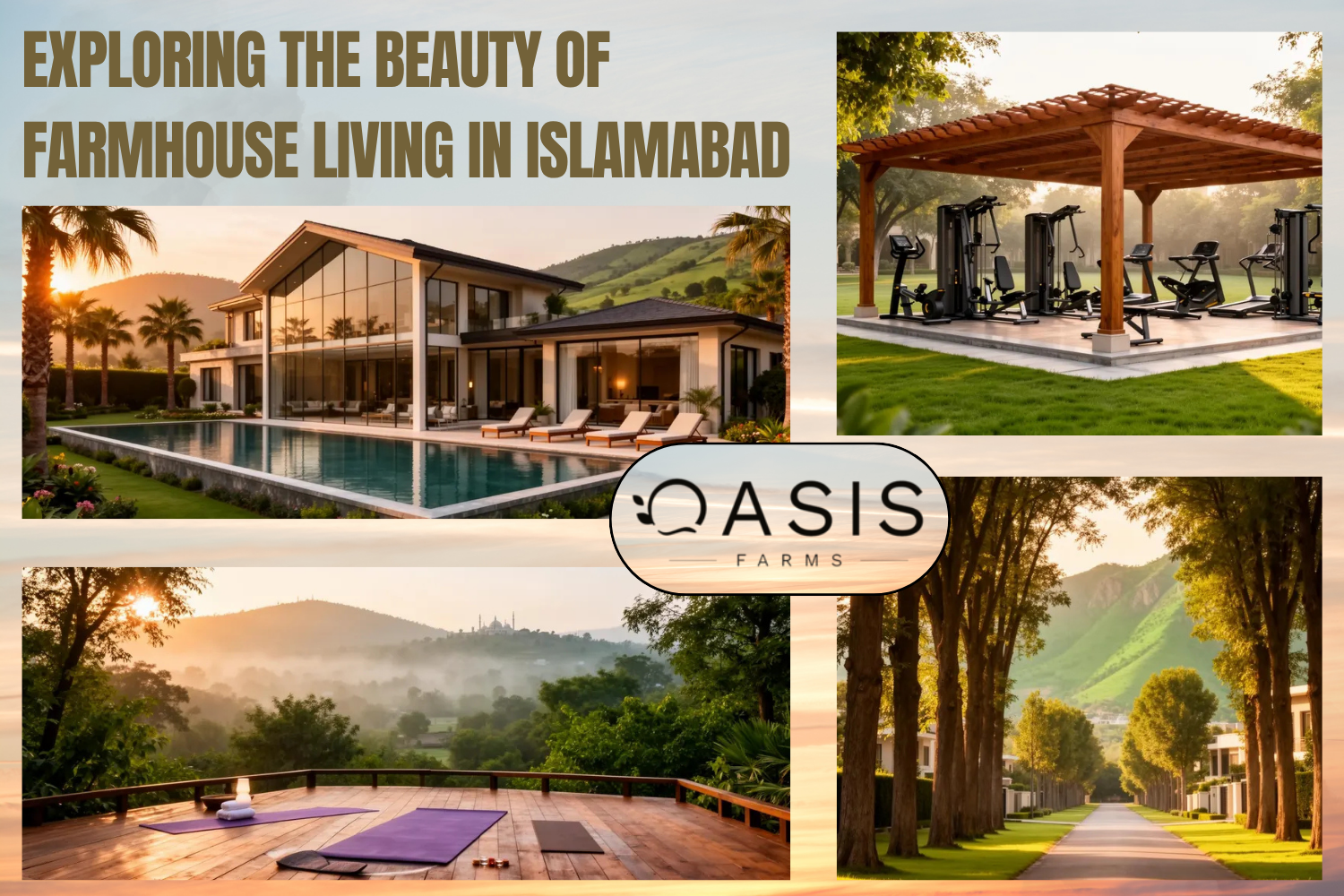 Amenities Oasis Farms Islamabad