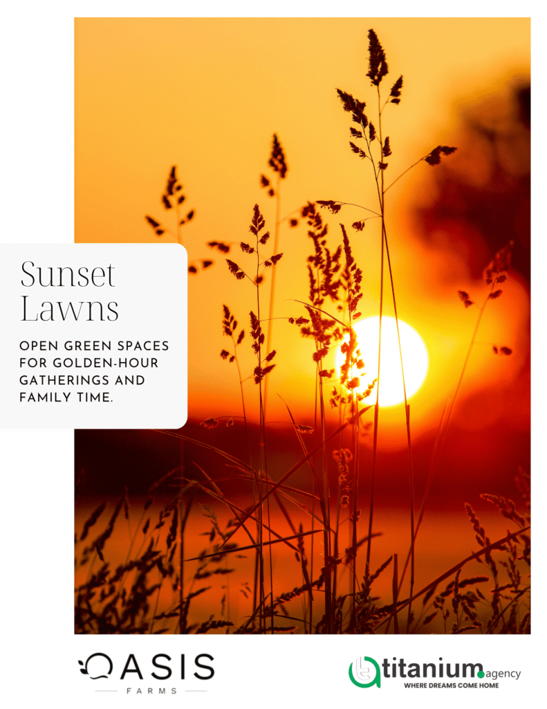 sunset lawn Oasis Farms Islamabad